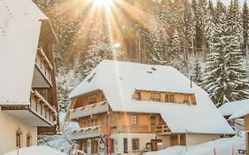 Holiday Apartements By Hotel Gruener Baum Feldberg